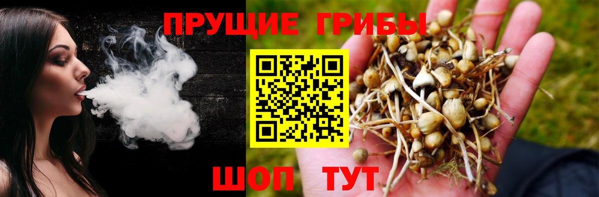 Галлюциногенные грибы мухоморы Чита
